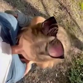 Mia Melano Outdoor Blowjob And Cumshot On Big Tits